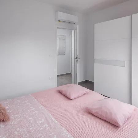 Pet Friendly In Novigrad Novigrad Istria
