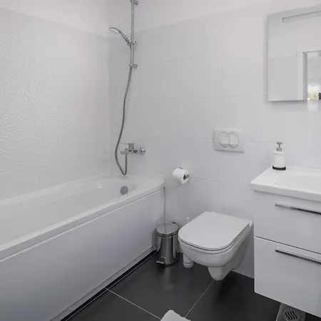 Pet Friendly In Novigrad Hébergement de vacances