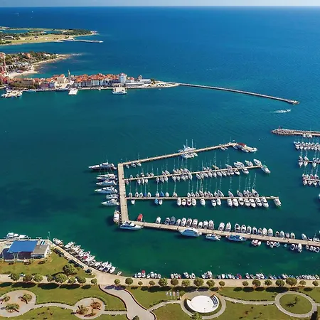 Pet Friendly In Novigrad Novigrad Istria